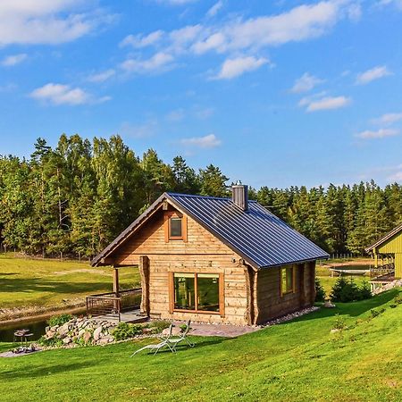 Vip Forest Dreams Villa Anykščiai المظهر الخارجي الصورة