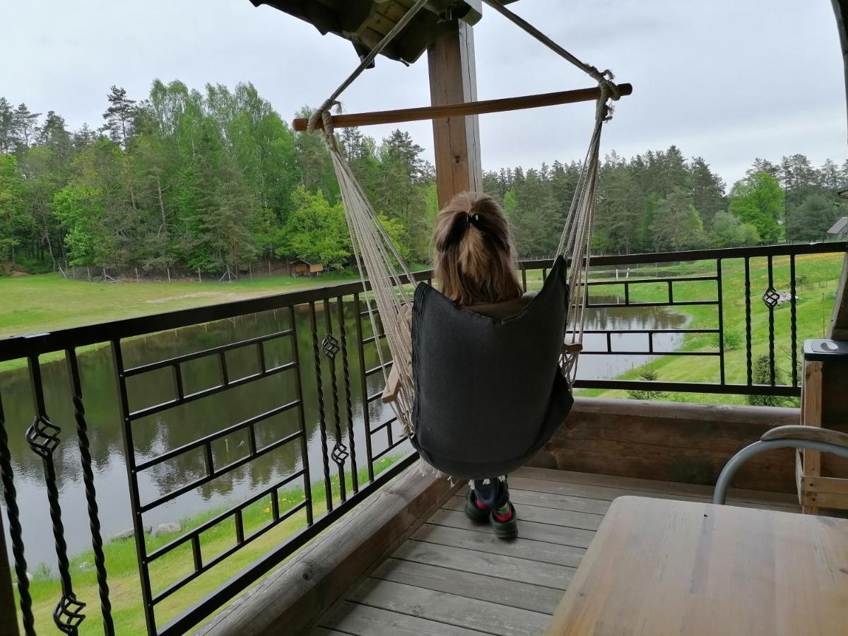 Vip Forest Dreams Villa Anykščiai المظهر الخارجي الصورة