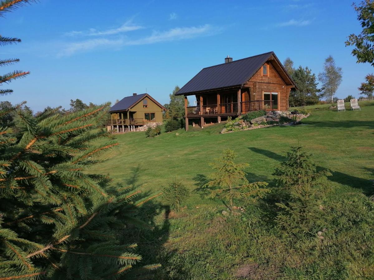 Vip Forest Dreams Villa Anykščiai المظهر الخارجي الصورة