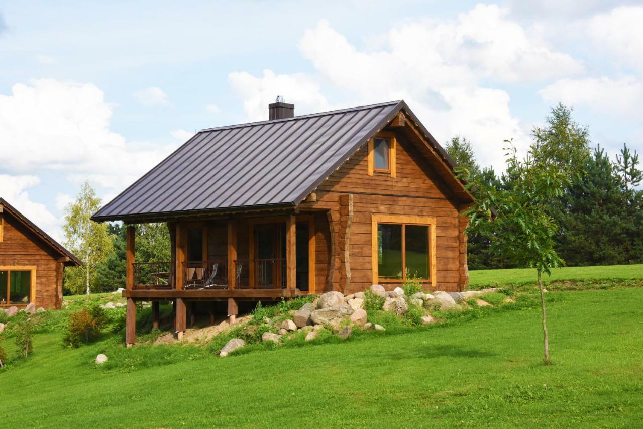 Vip Forest Dreams Villa Anykščiai المظهر الخارجي الصورة