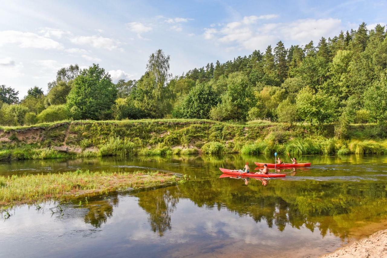 Vip Forest Dreams Villa Anykščiai المظهر الخارجي الصورة