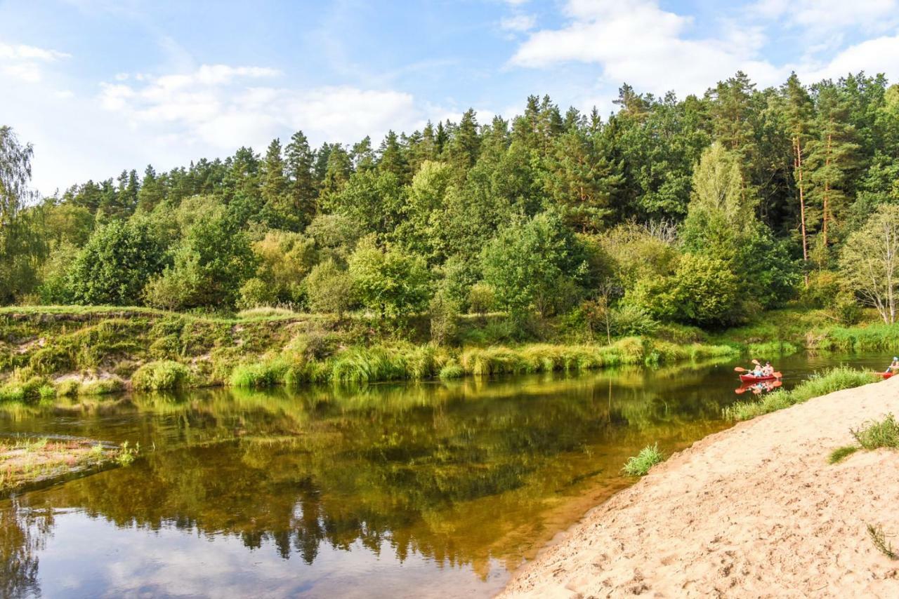 Vip Forest Dreams Villa Anykščiai المظهر الخارجي الصورة