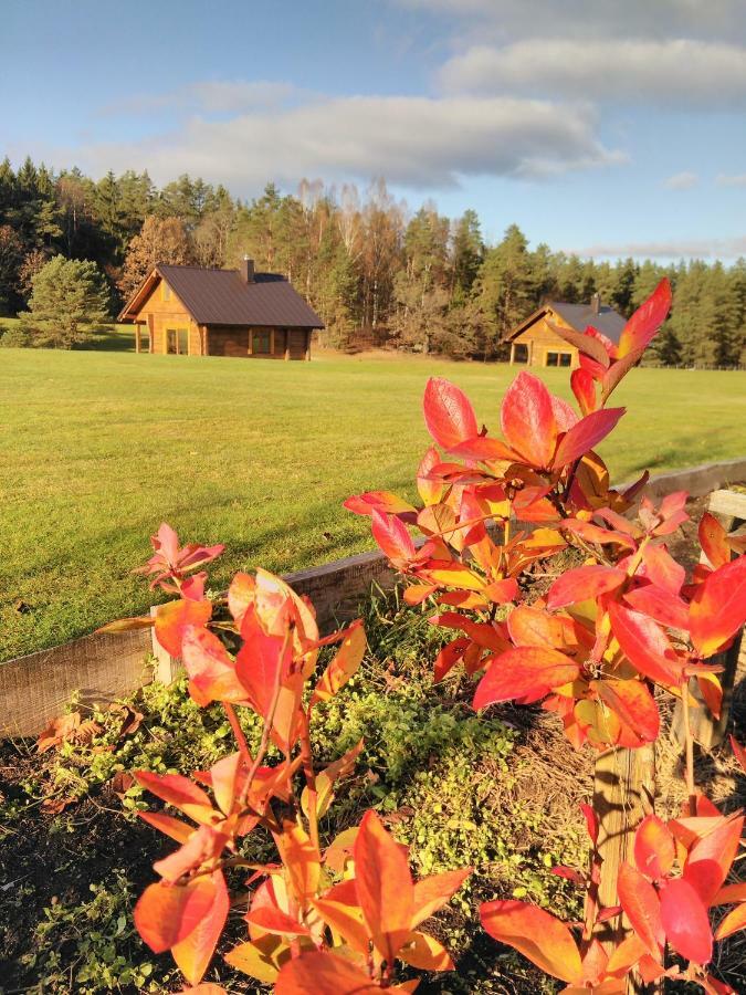 Vip Forest Dreams Villa Anykščiai المظهر الخارجي الصورة