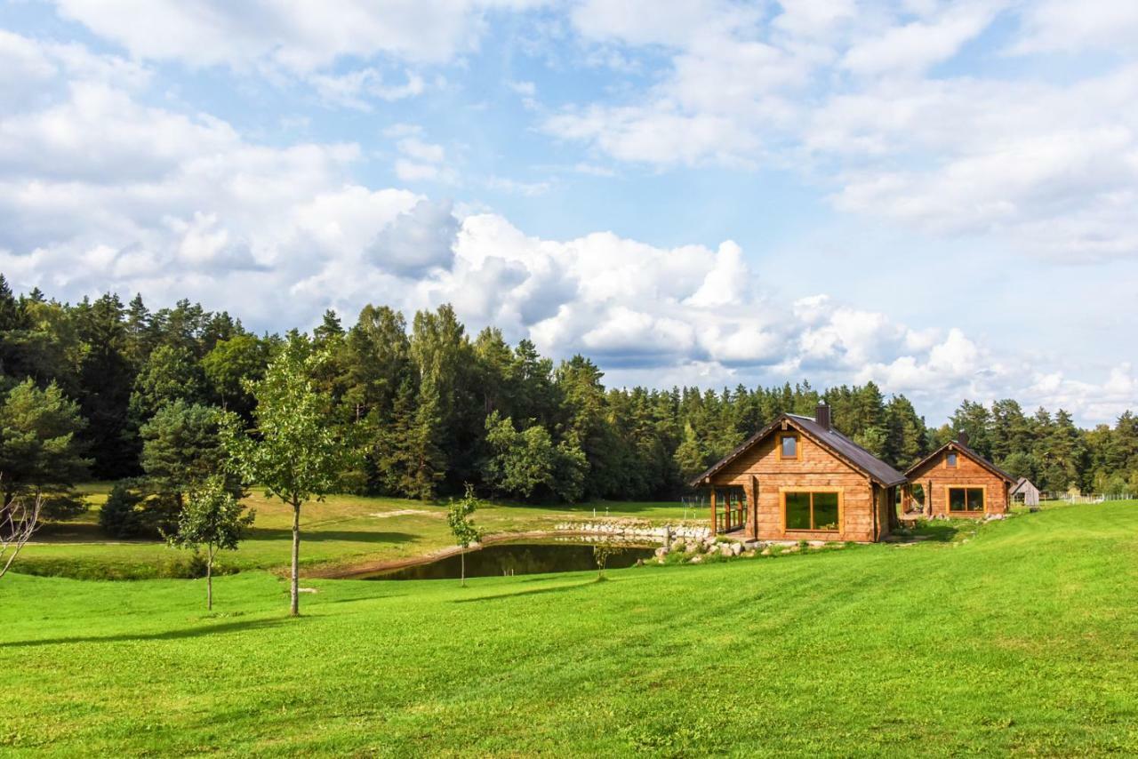 Vip Forest Dreams Villa Anykščiai المظهر الخارجي الصورة