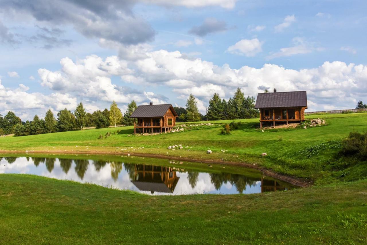 Vip Forest Dreams Villa Anykščiai المظهر الخارجي الصورة