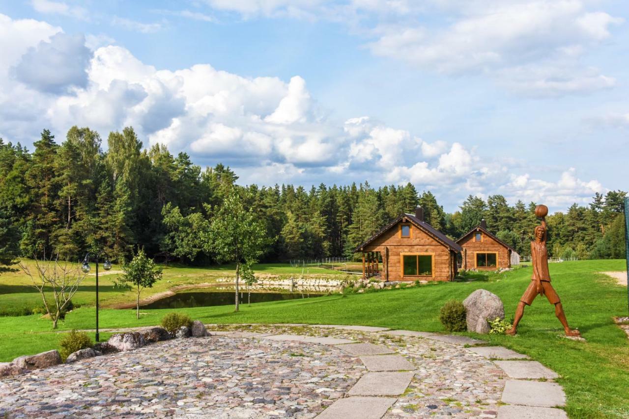 Vip Forest Dreams Villa Anykščiai المظهر الخارجي الصورة