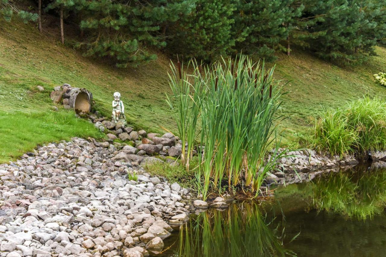 Vip Forest Dreams Villa Anykščiai المظهر الخارجي الصورة