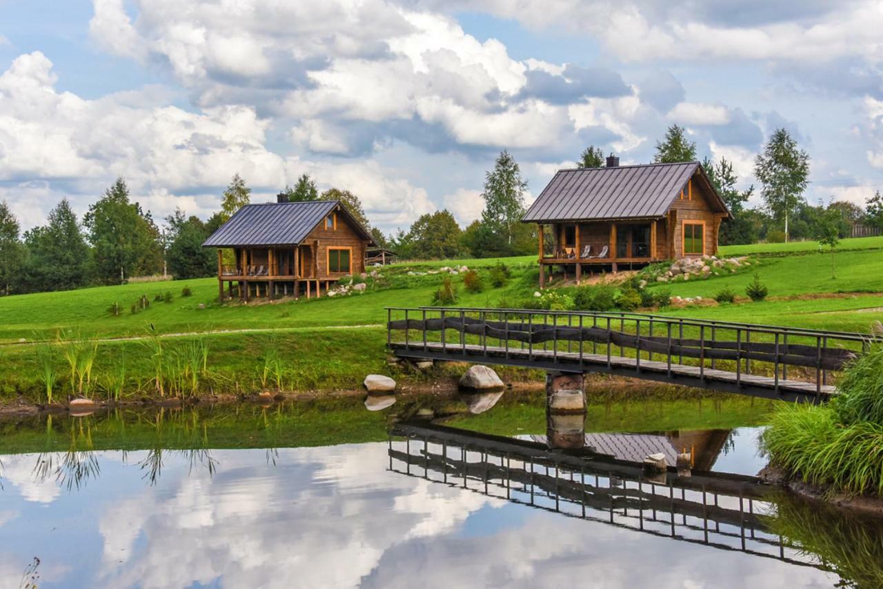 Vip Forest Dreams Villa Anykščiai المظهر الخارجي الصورة