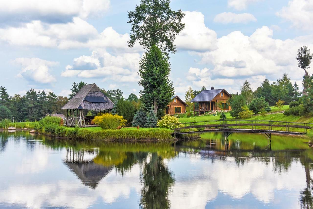 Vip Forest Dreams Villa Anykščiai المظهر الخارجي الصورة
